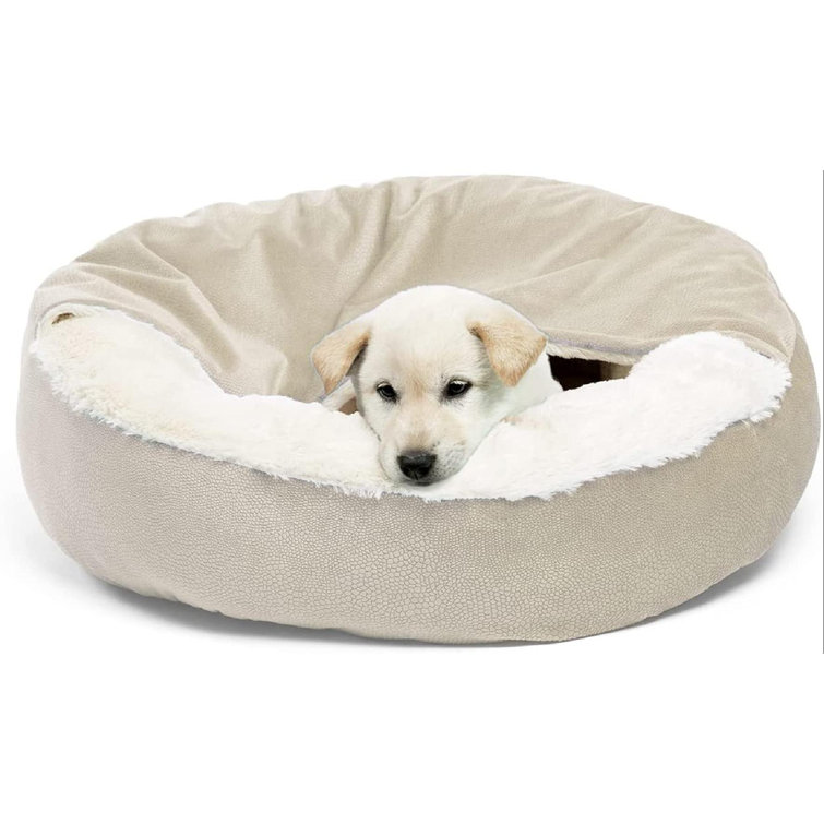 dog bed attached blanket