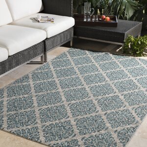 Fonwhary Aqua Indoor/Outdoor Area Rug