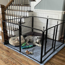 indoor dog fencing options