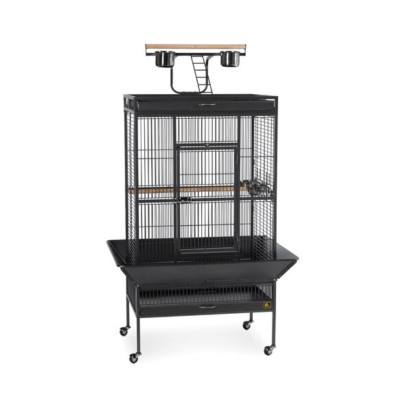 Signature Series Large Bird Cage by Prevue Hendryx