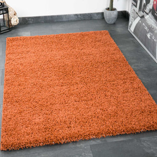 Orange Rugs You Ll Love Wayfair Co Uk Prime Gy Copper Rug