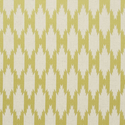 PEMBALIME ClarkeClarke LLC Color Lime