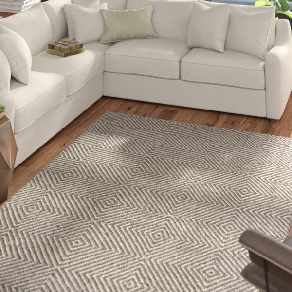 Marcelo Flat Woven Cotton Gray Area Rug by Mercury Row