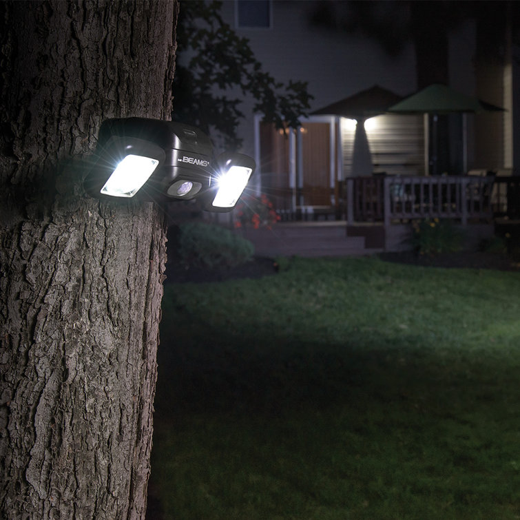 back yard flood light