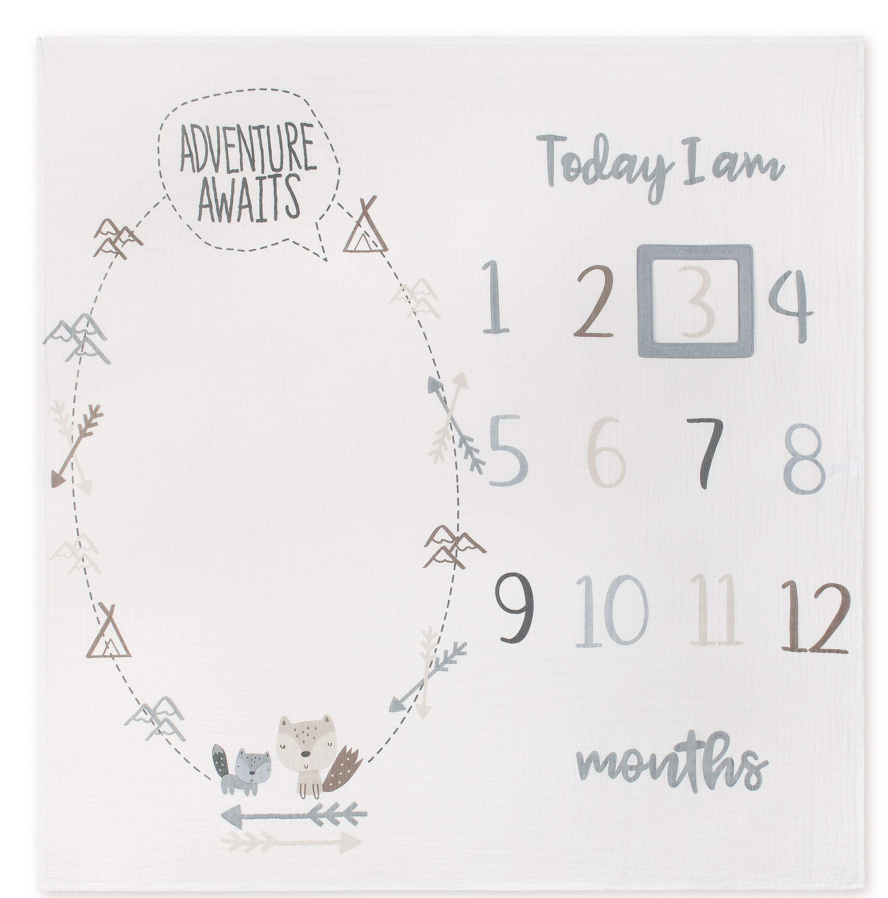 milestone baby blanket