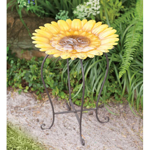 Bexhill Bird Bath Happy Larry