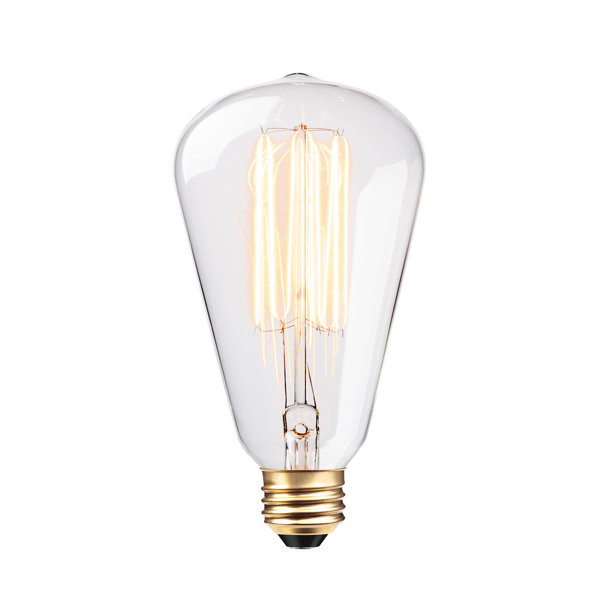 Trahan 60W Incandescent Vintage Filament Light Bulb by Williston Forge