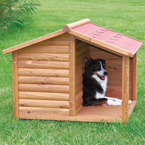 Rustic Dog House