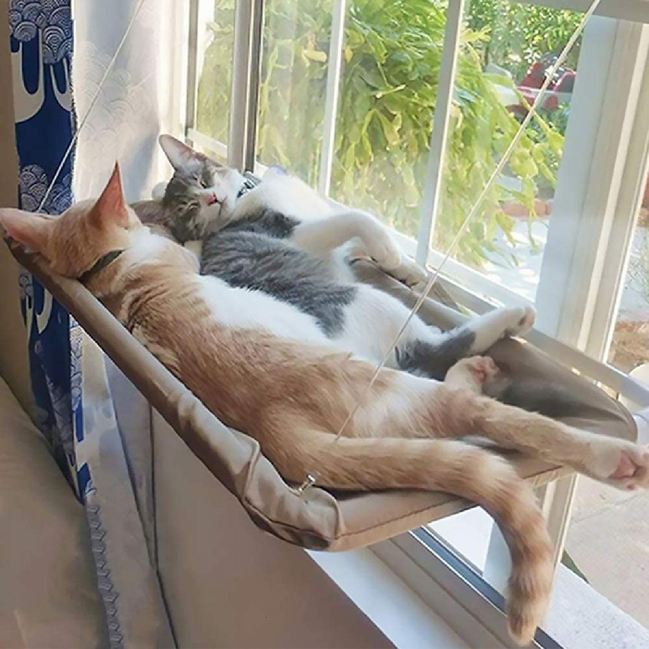 cat corner hammock