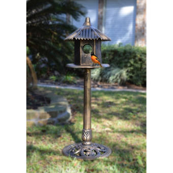Home Bazaar Hatchling Series Primrose Cottage 9 75 In X 7 In X 7 In Birdhouse Wayfair