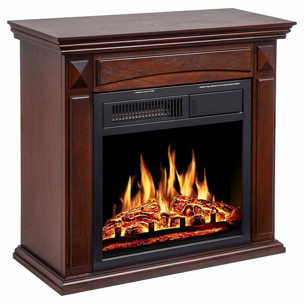 Wooden Surround Electric Fireplace Insert By Charlton Home