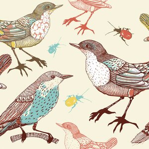 Birds and Beetles Removable 5' x 20