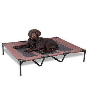dog cots for sale