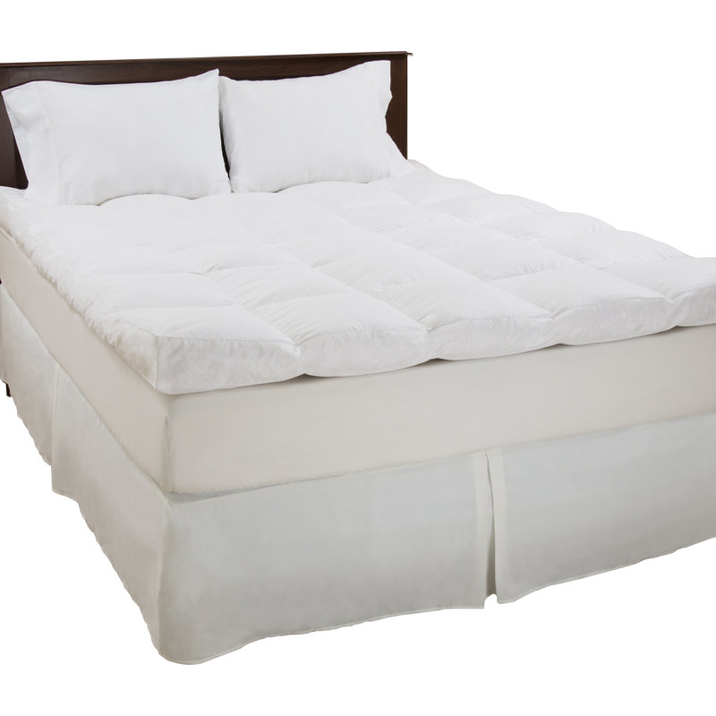 Jessica 233 Thread Count Down Mattress Topper & Reviews Joss & Main