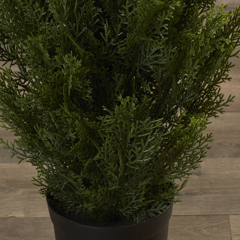 Darby Home Co Cedar Tree Round Tapered Topiary in Pot & Reviews Wayfair