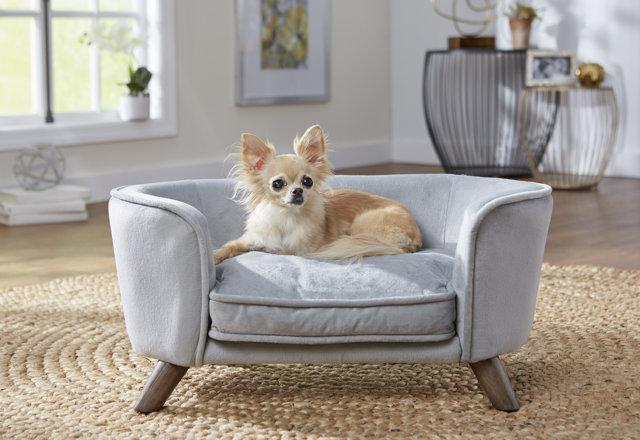 Our Favorite Dog Beds