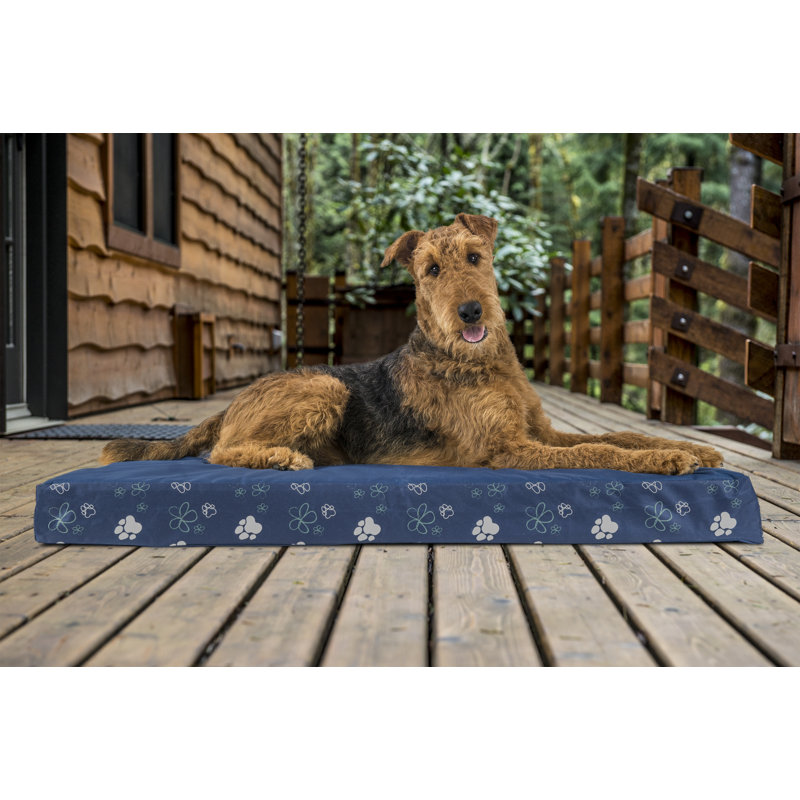 Tucker Murphy Pet Dexter Garden IndoorOutdoor Cooling Gel ...