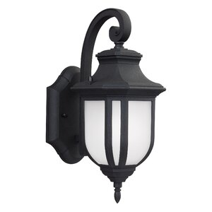 Teri 1-Light Outdoor Wall Lantern