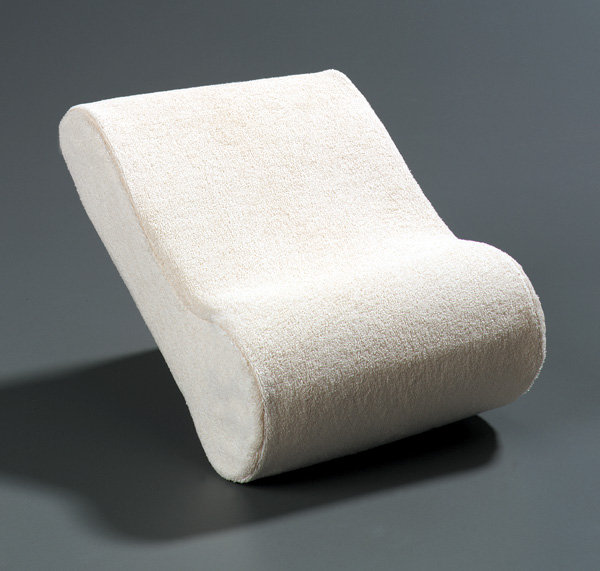 Buckwheat Neck Pillow Wayfair