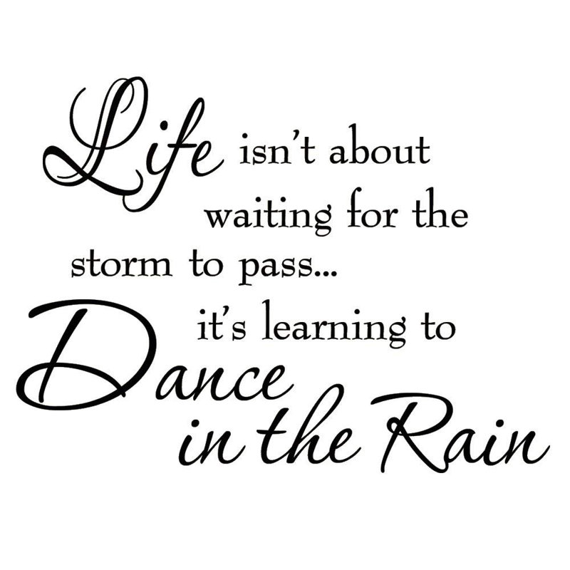Winston Porter Life Isn T About Waiting For The Storm To Pass Wall Decal Reviews Wayfair