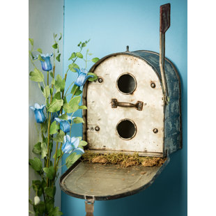 Decorative Indoor Bird Houses Wayfair Livesay Mailbox Decorative Bird House