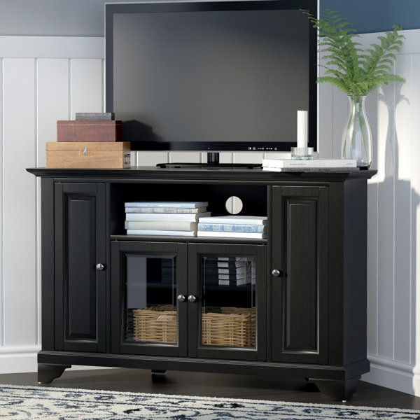 Sneyd Park 48 TV Stand by Darby Home Co