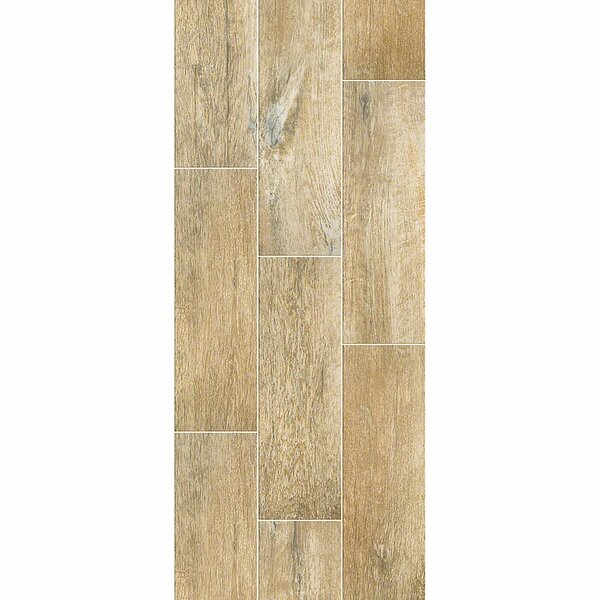 Avenues Plank 7 x 22 Ceramic Wood Look Tile in Cider by Shaw Floors