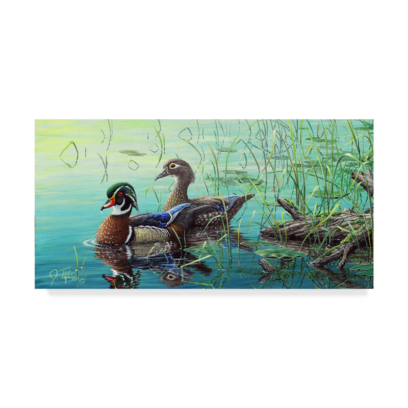 Trademark Art Wood Ducks Acrylic Painting Print On Wrapped Canvas Wayfair