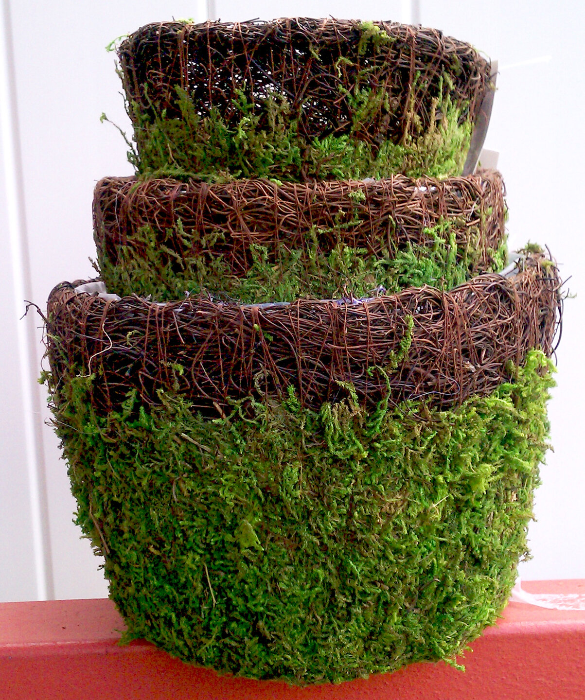 SuperMoss Real Moss Pot Planter Set Wayfair   Real Moss Pot Planter Set 