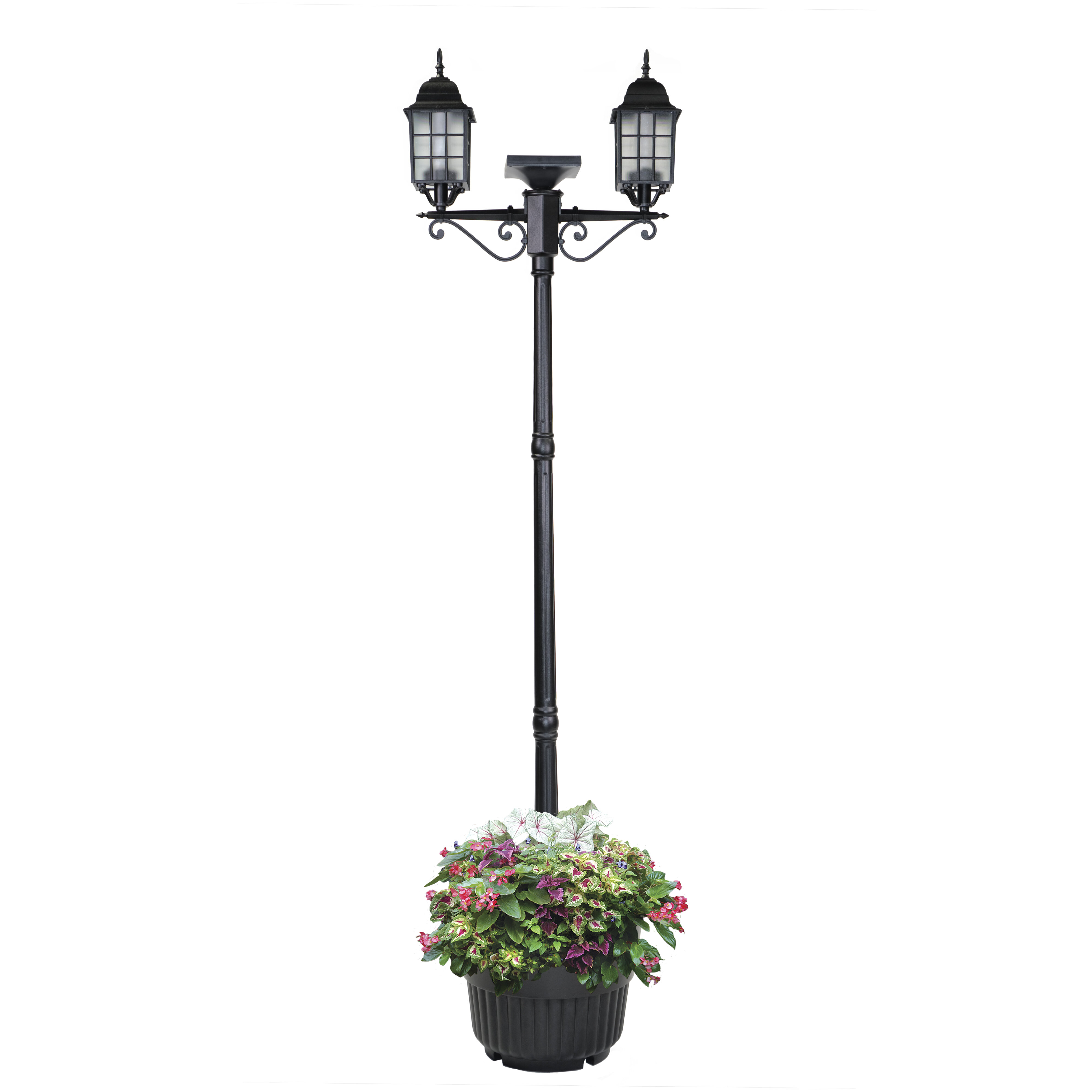 Alcott Hill Burntwood Head Solar 2 Light Led Lamp Post Wayfair