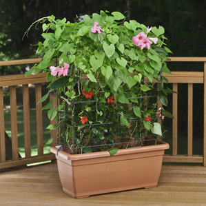 The most stylish and classic Self-Watering Planter Box with Trellis