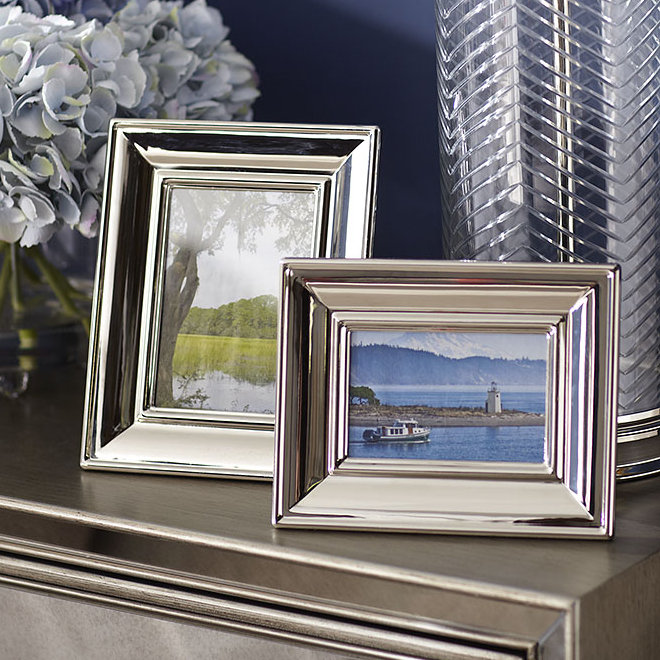 Hamilton Silver Frame & Reviews Birch Lane