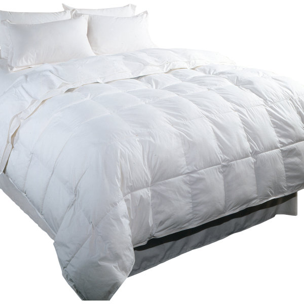 Goodwin 233 Thread Count All Season Down Comforter & Reviews Joss & Main