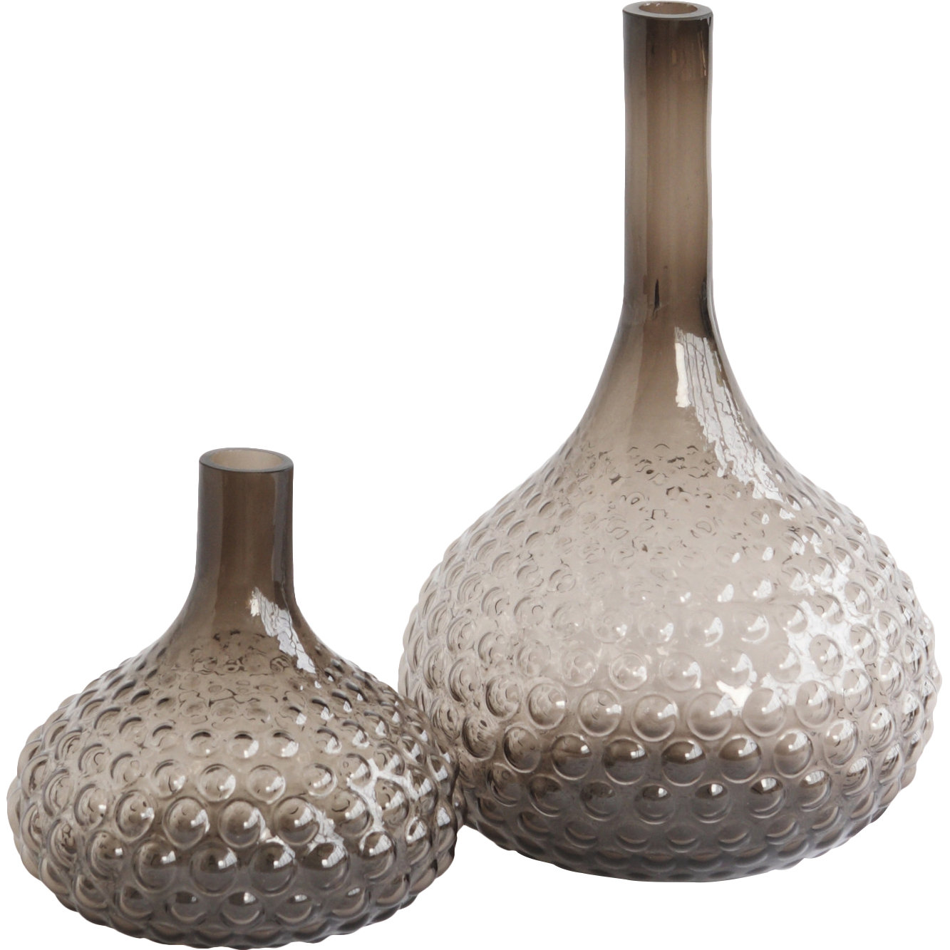 DwellStudio Glass Bulb Vase & Reviews Wayfair