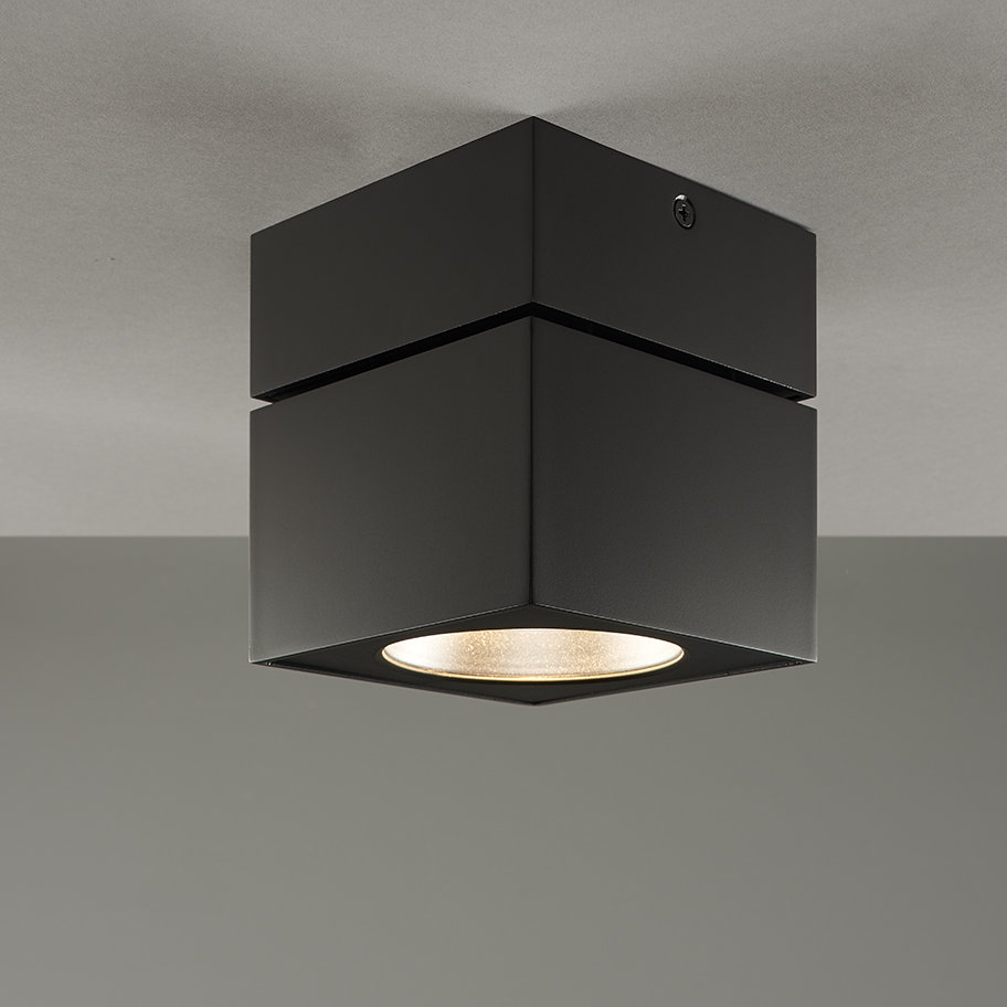 Surface Square Flush Mount AllModern