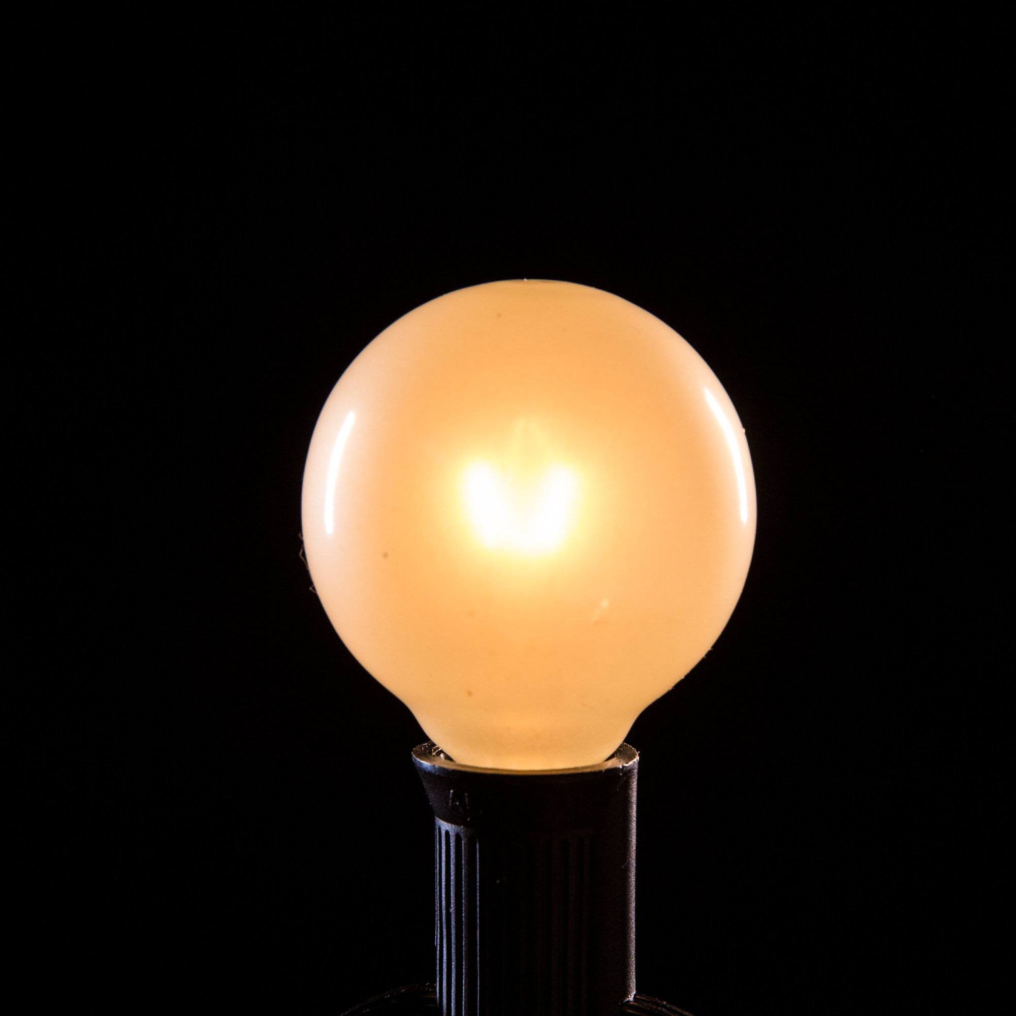 HometownEvolutionInc 25-Light Globe String Lights & Reviews Wayfair