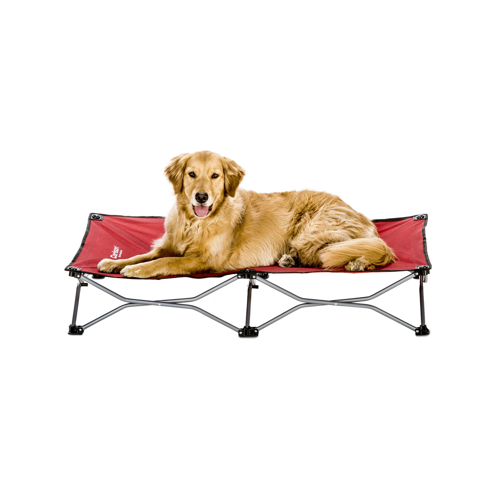 Carlson Pet Portable Pup Travel Dog Cot & Reviews Wayfair.ca