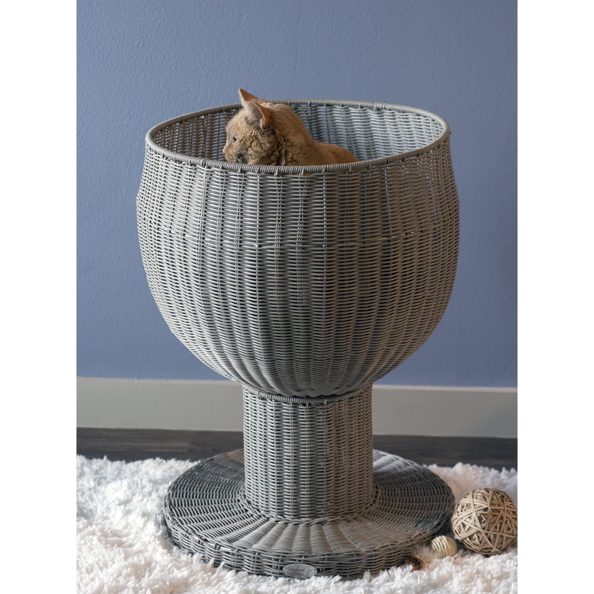 the refined feline kitty ball cat bed