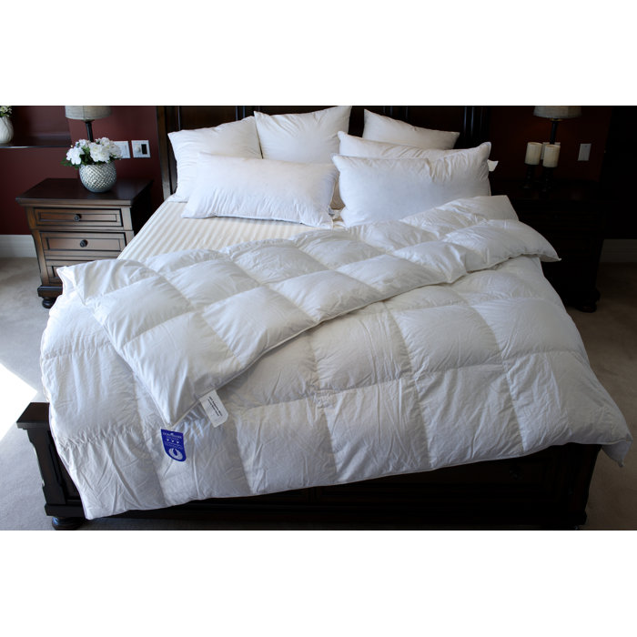 Royal Elite Hutterite All Season Down Duvet Reviews Wayfair Ca Hutterite All Season Down Duvet