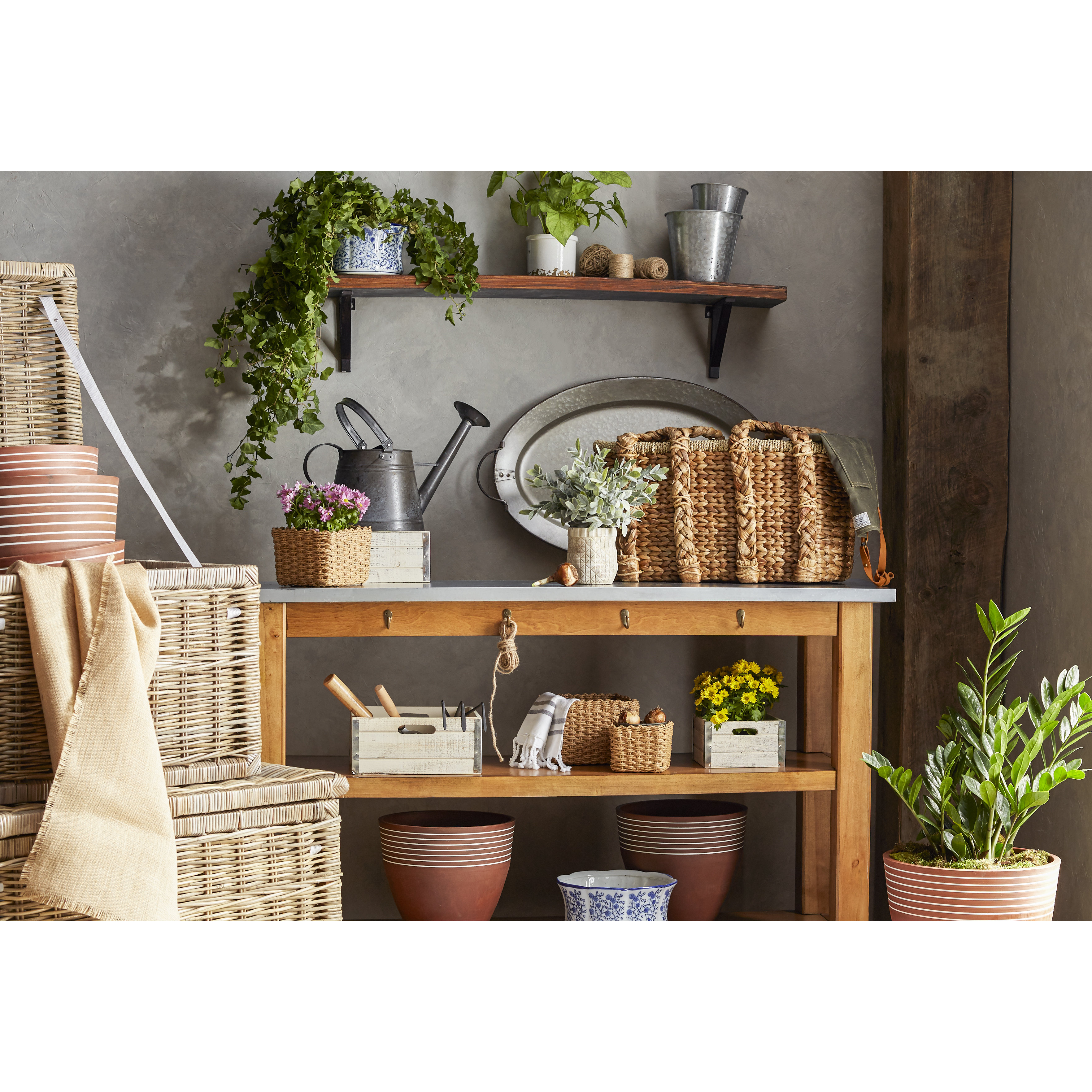 Birch Lane Handled Storage Basket & Reviews Birch Lane