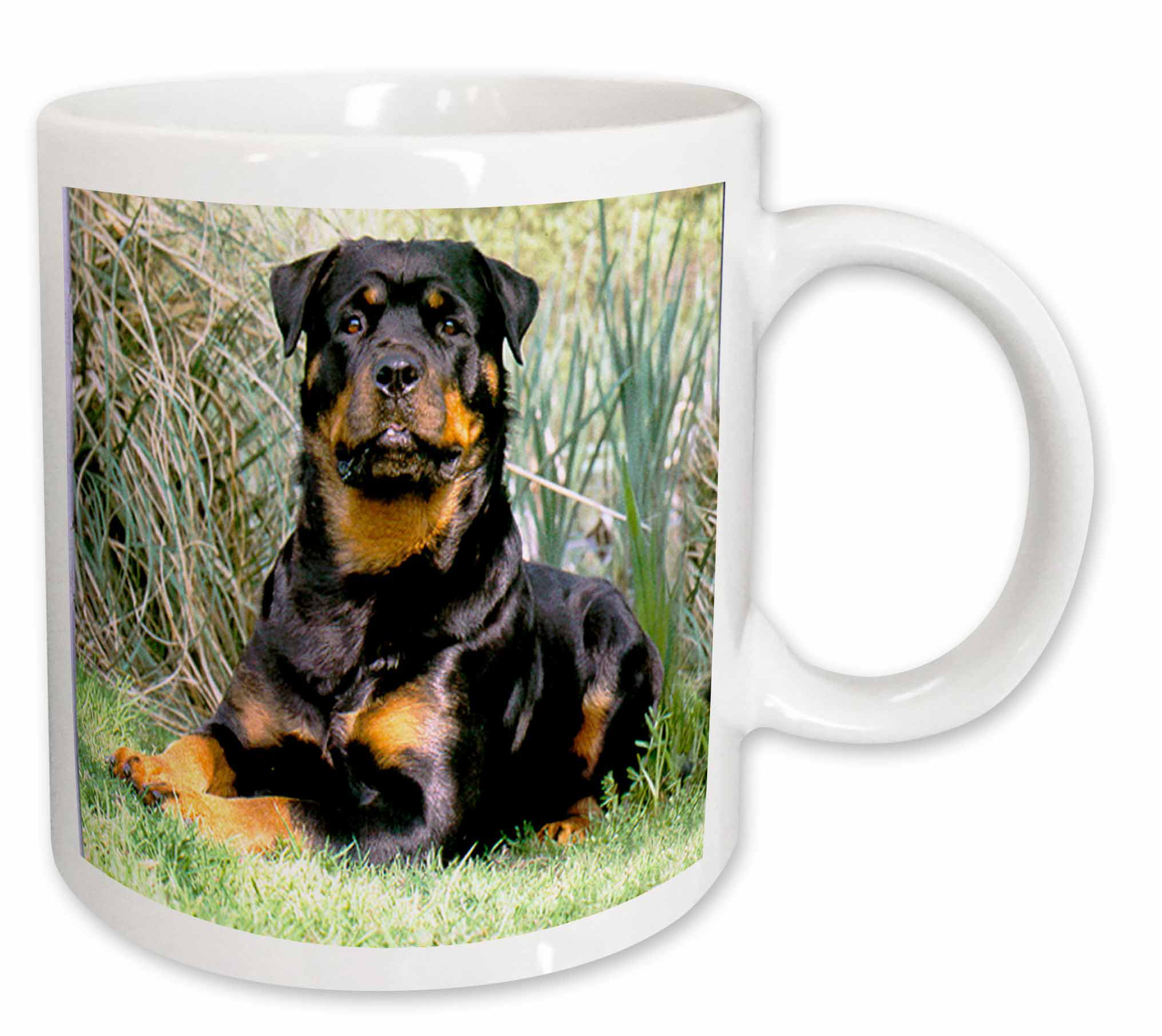 rottweiler coffee mugs