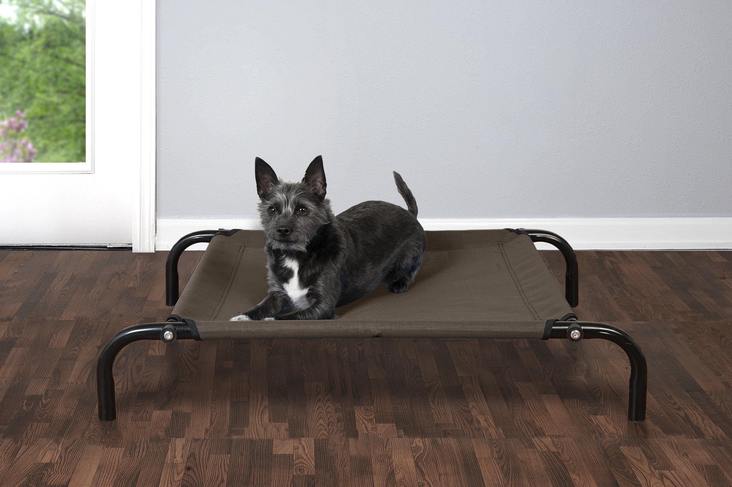 xl raised dog bed