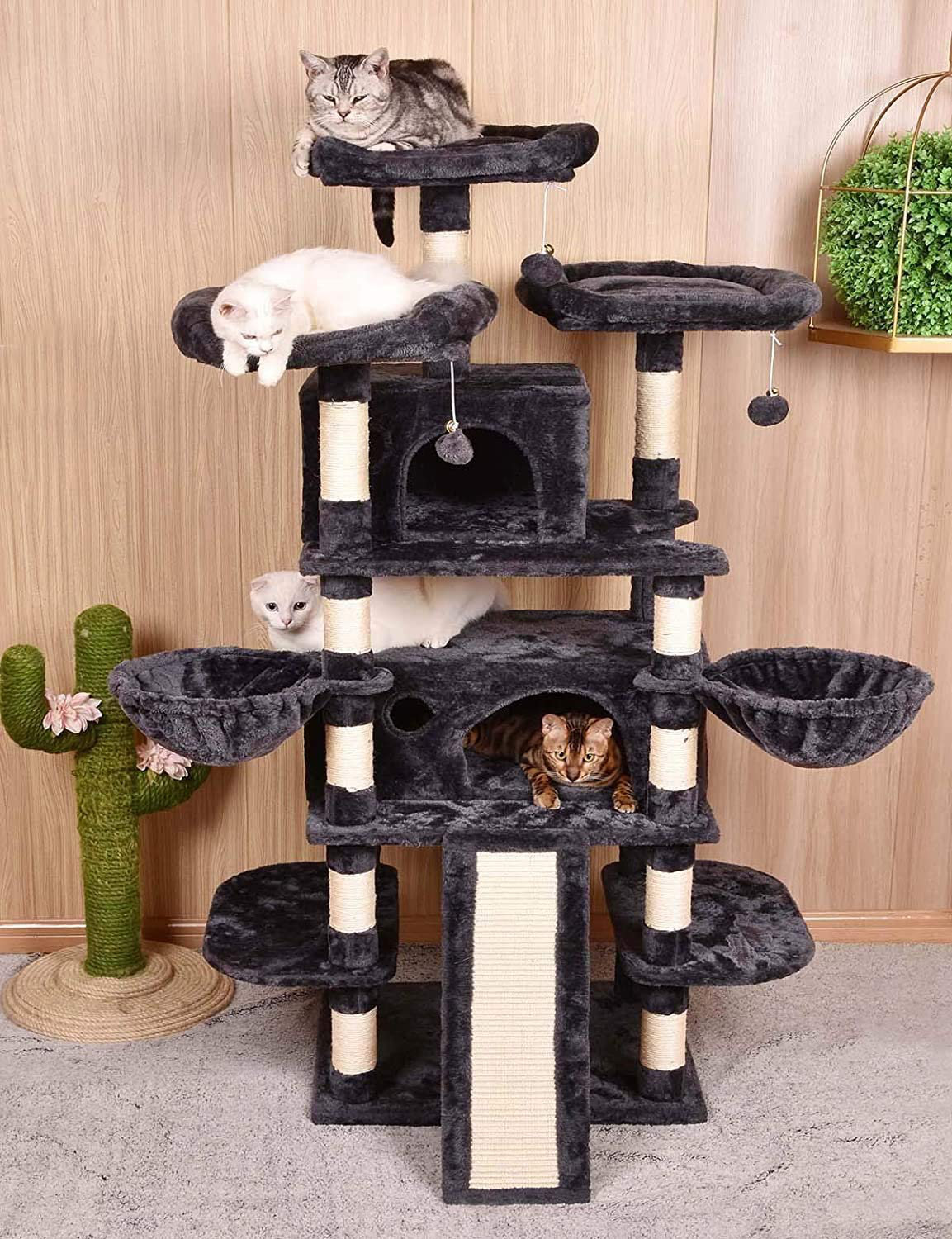 large cat climbing frame