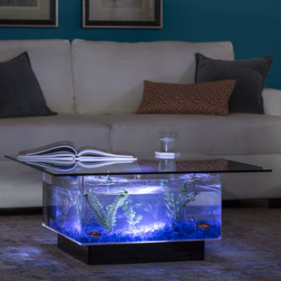 white coffee table fish tank