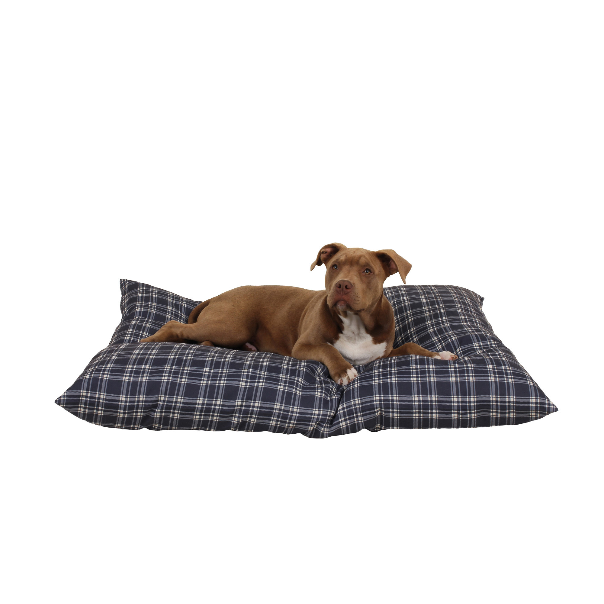 wayfair dog beds