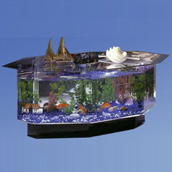 fish aquarium table