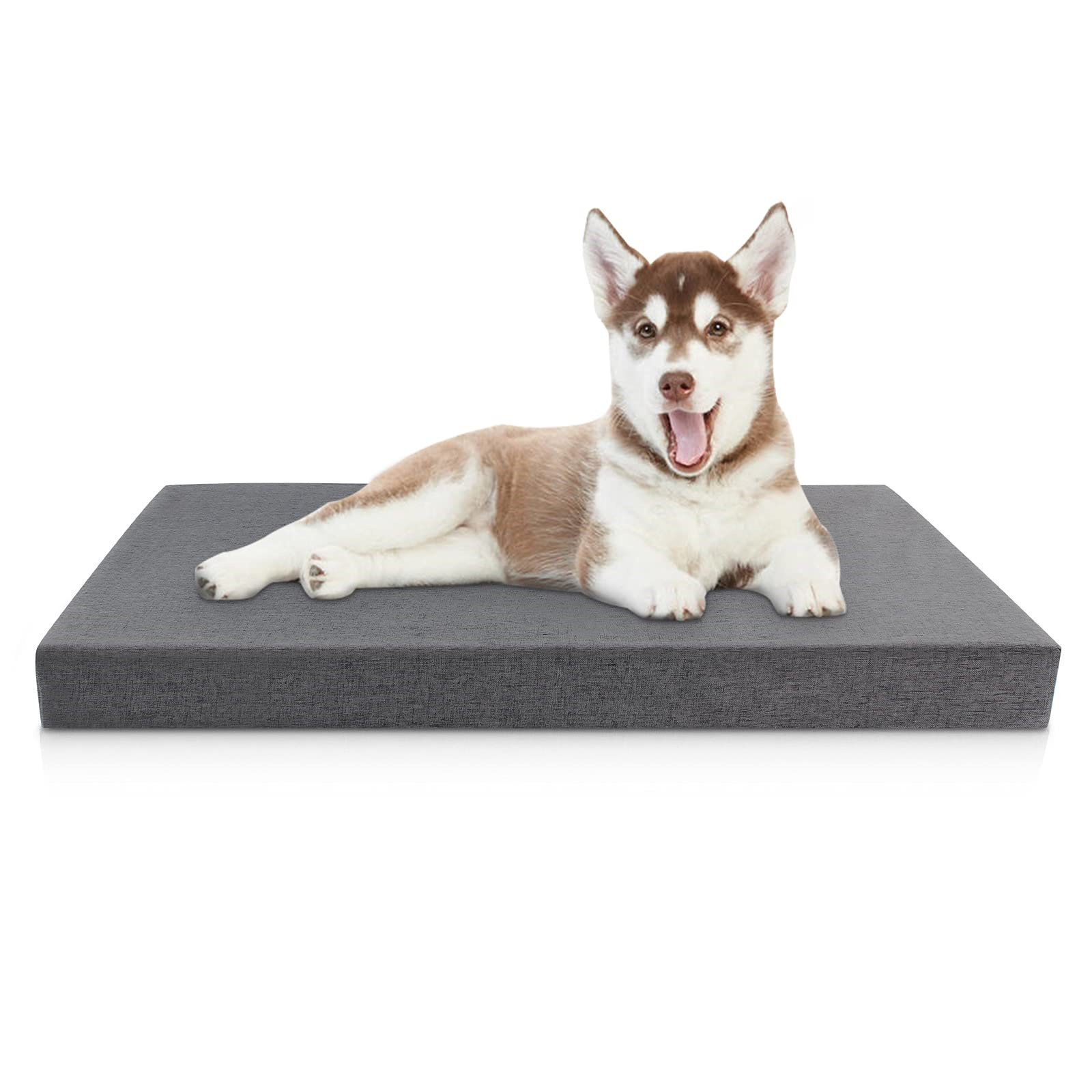 x large memory foam dog bed