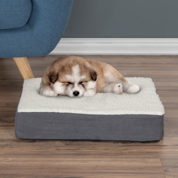 dog bed foam inserts