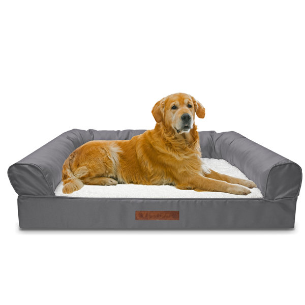 tainoki pet bed