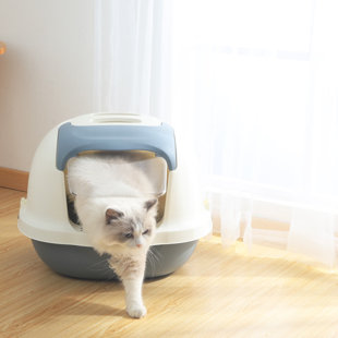 loop litter box
